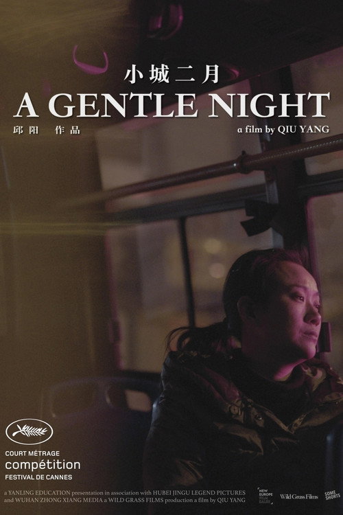 A Gentle Night