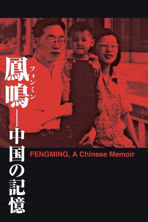 Chronicle of a Chinese Woman