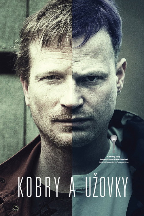 Кобры и ужи