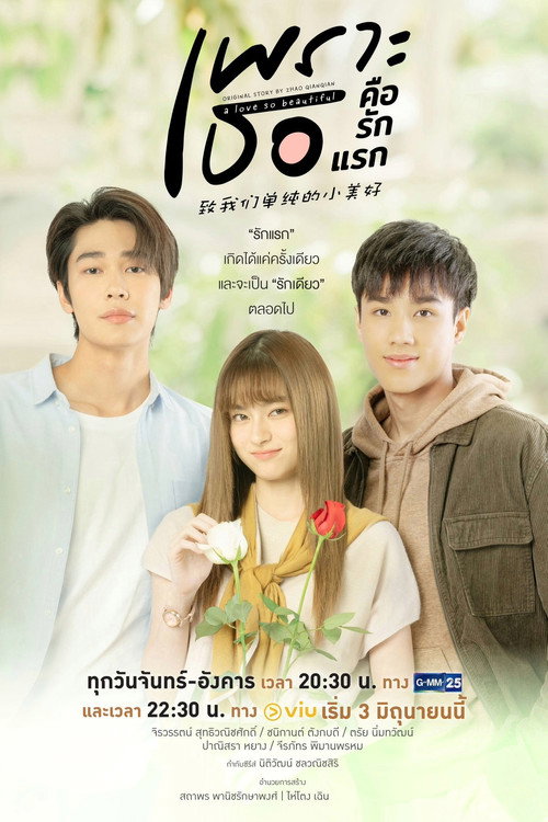 A LOVE SO BEAUTIFUL - 2024