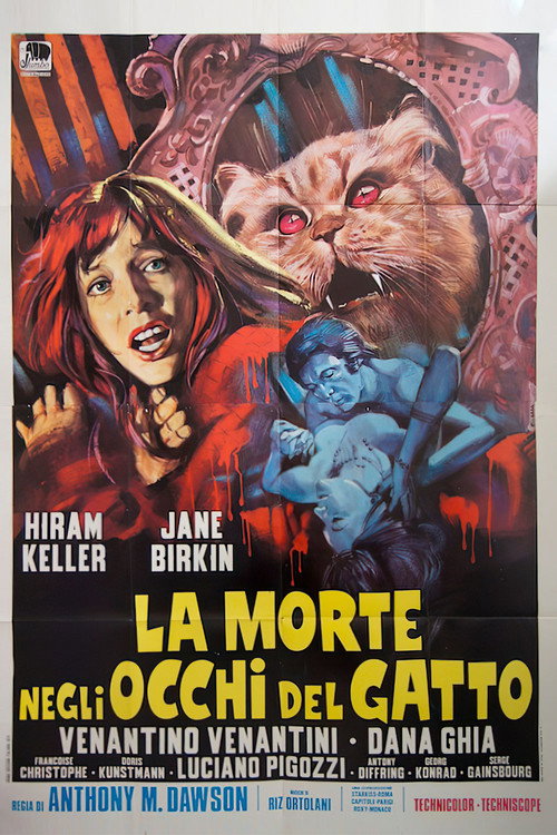 La morte negli occhi del gatto