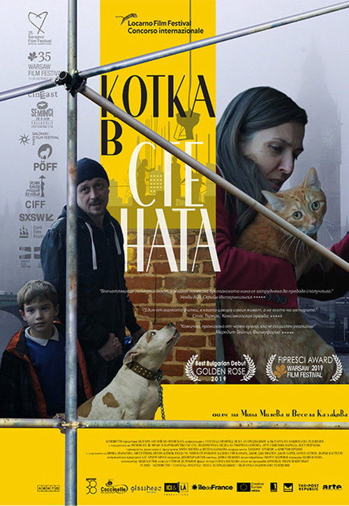 Кот в стене