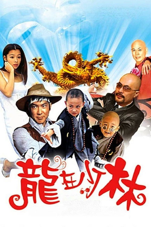 Dragon from Shaolin