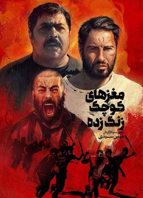 Maghz'haie Koochake Zang Zadeh