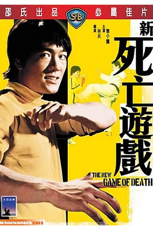 Adios...Bruce Lee (En Su Ultimo Juego De La Muerte)