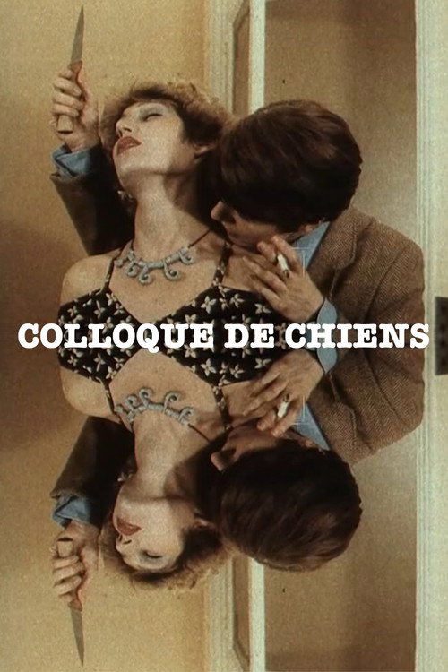 Colloque de chiens