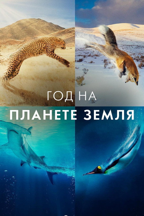 Год на планете Земля