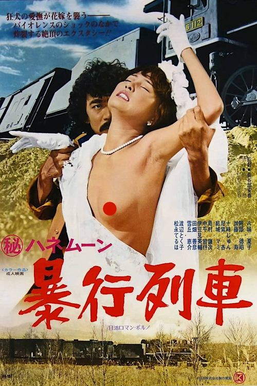 (Secret) Honeymoon: Assault Train