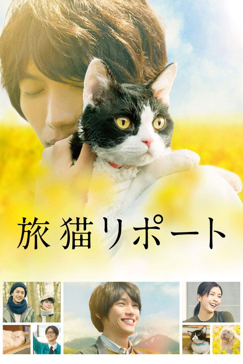Tabineko Report
