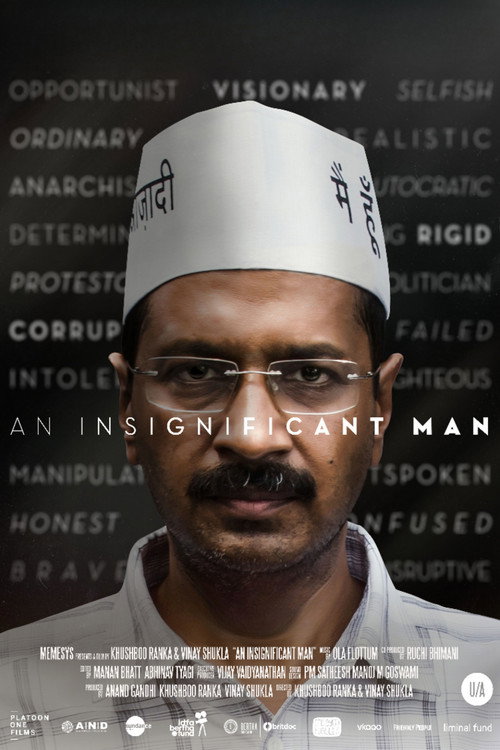 An Insignificant Man