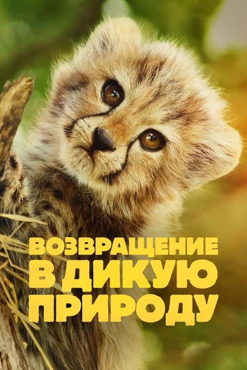 Возвращение в дикую природу