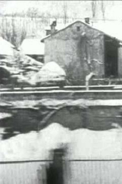 Panoramic View of the Arrival in Aix-les-Bains taken from the Train (Snowy Conditions)