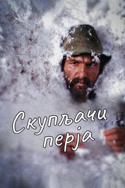 Скупщики перьев