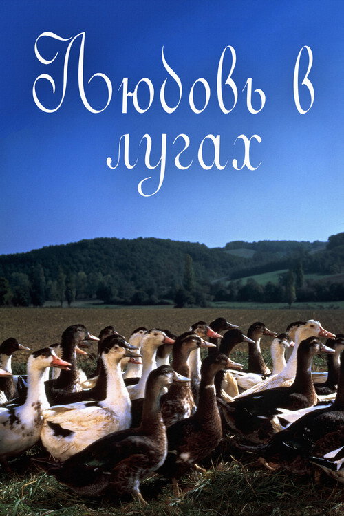 Любовь в лугах