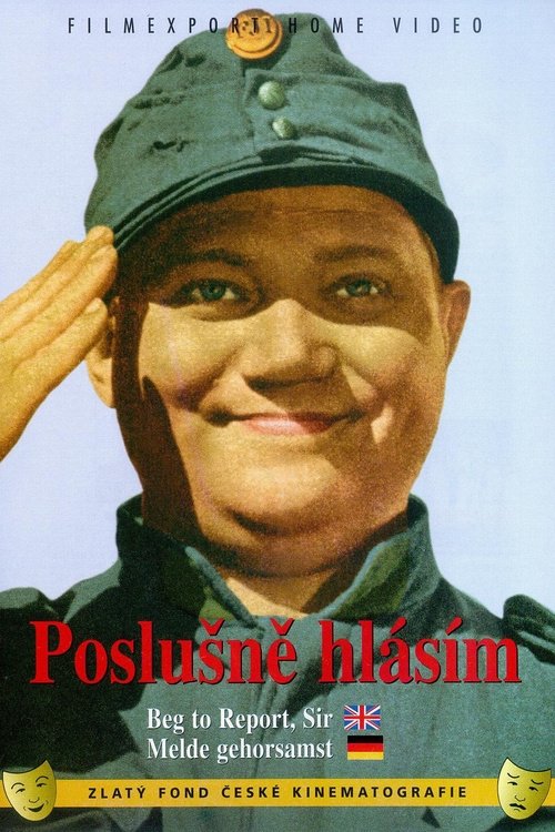 Швейк на фронте