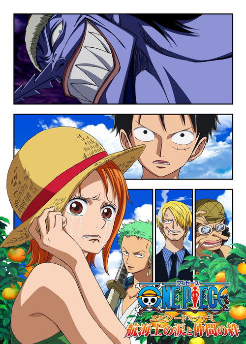One Piece - Episode of Nami