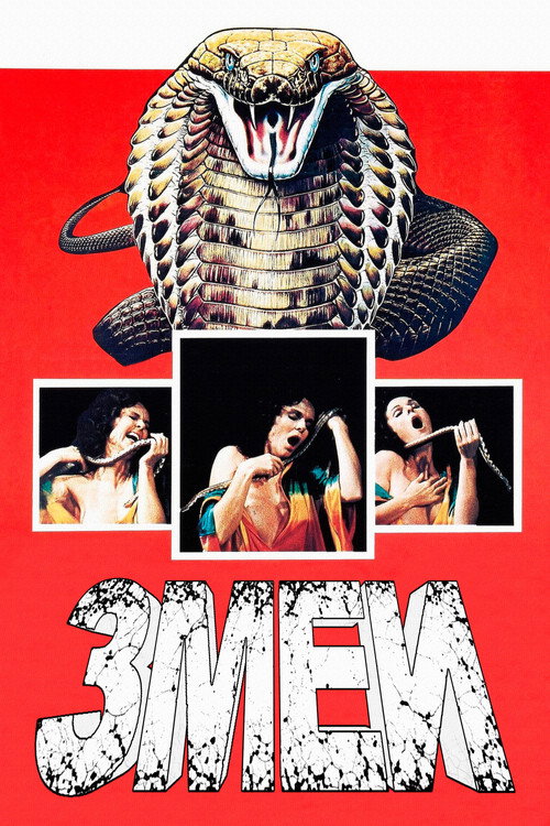 Змеи
