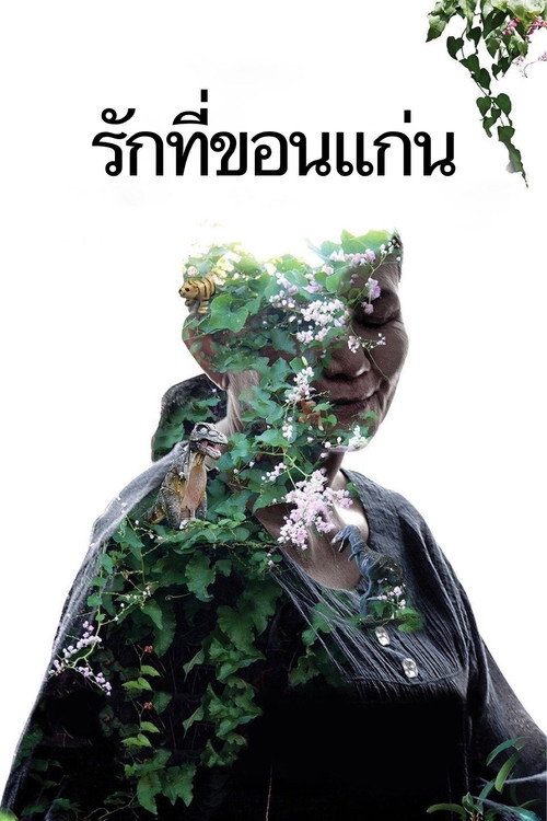 Кладбище блеска