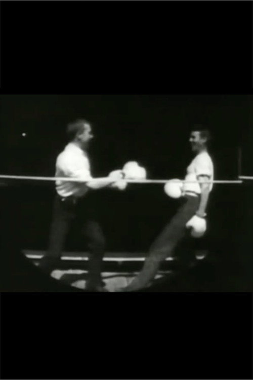 Men Boxing