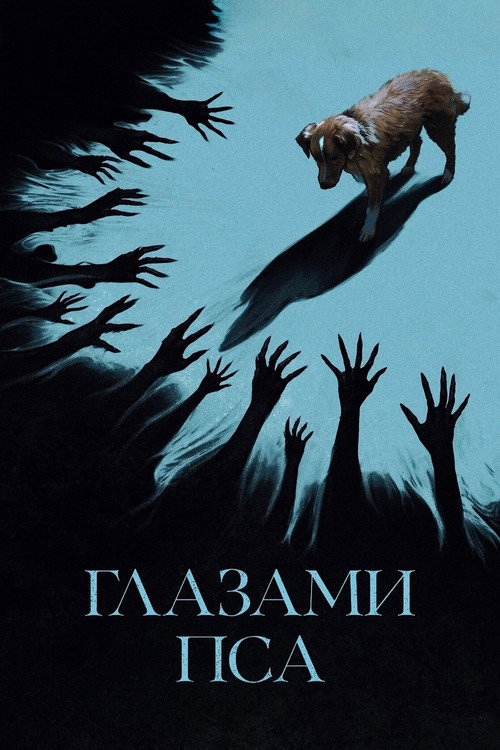 Глазами пса