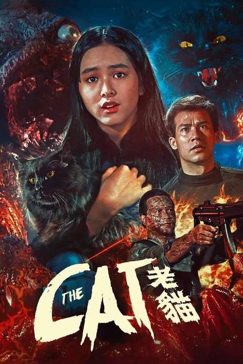 El gato